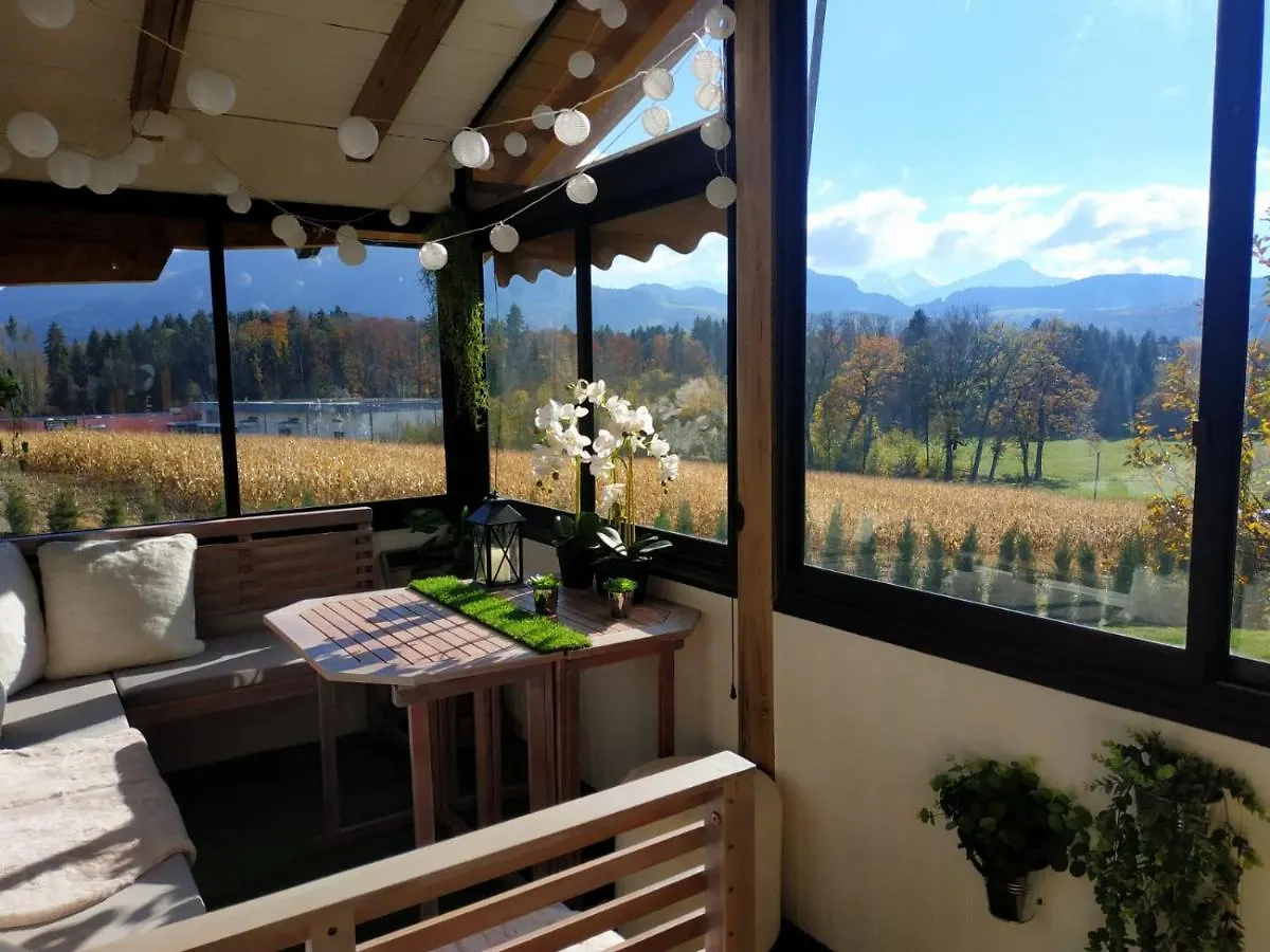 Chalet De Charme Entre Geneve, Annecy Et Stations Viuz-en-Sallaz 0*,